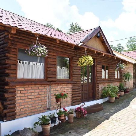 デスポトヴァツ Panorama Lomnica Bed & Breakfast エクステリア 写真