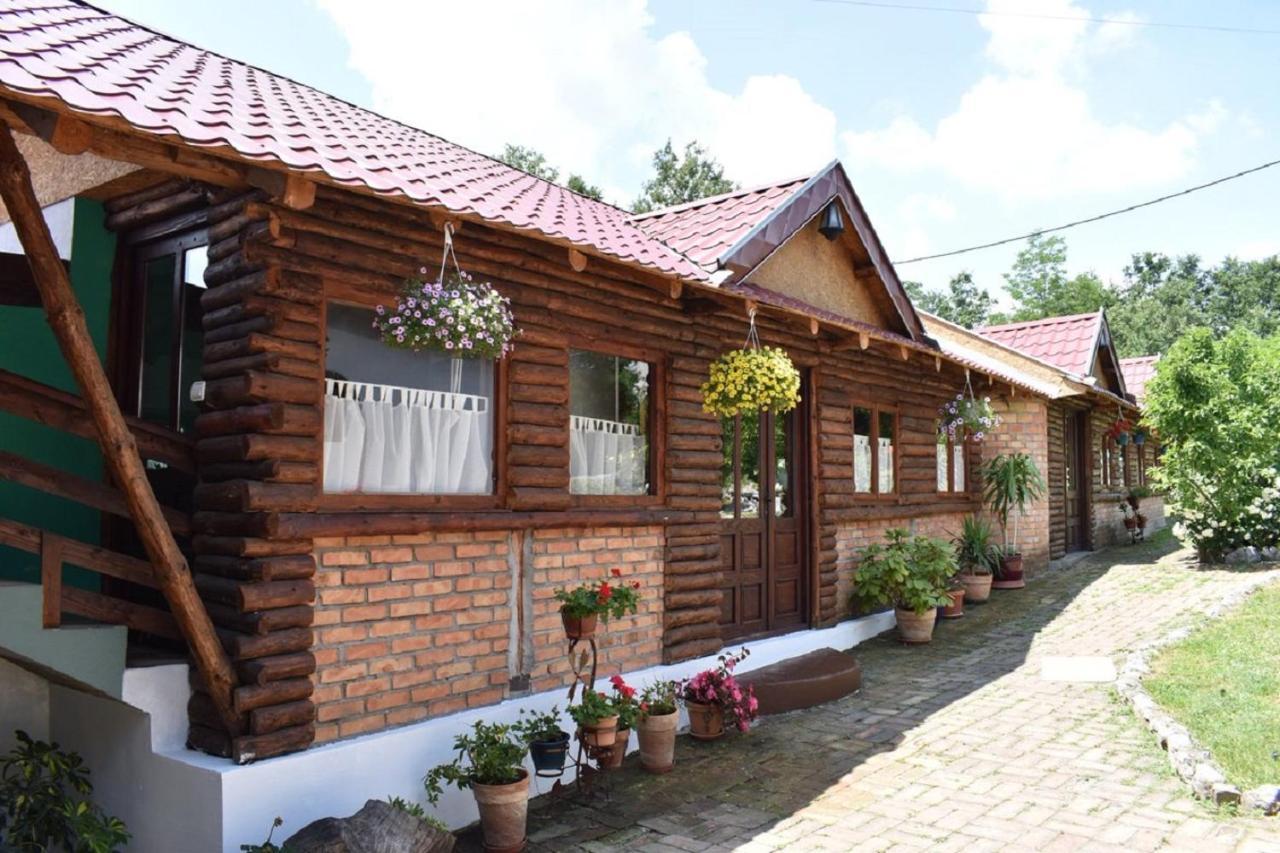 デスポトヴァツ Panorama Lomnica Bed & Breakfast エクステリア 写真
