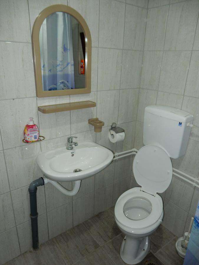 デスポトヴァツ Panorama Lomnica Bed & Breakfast エクステリア 写真