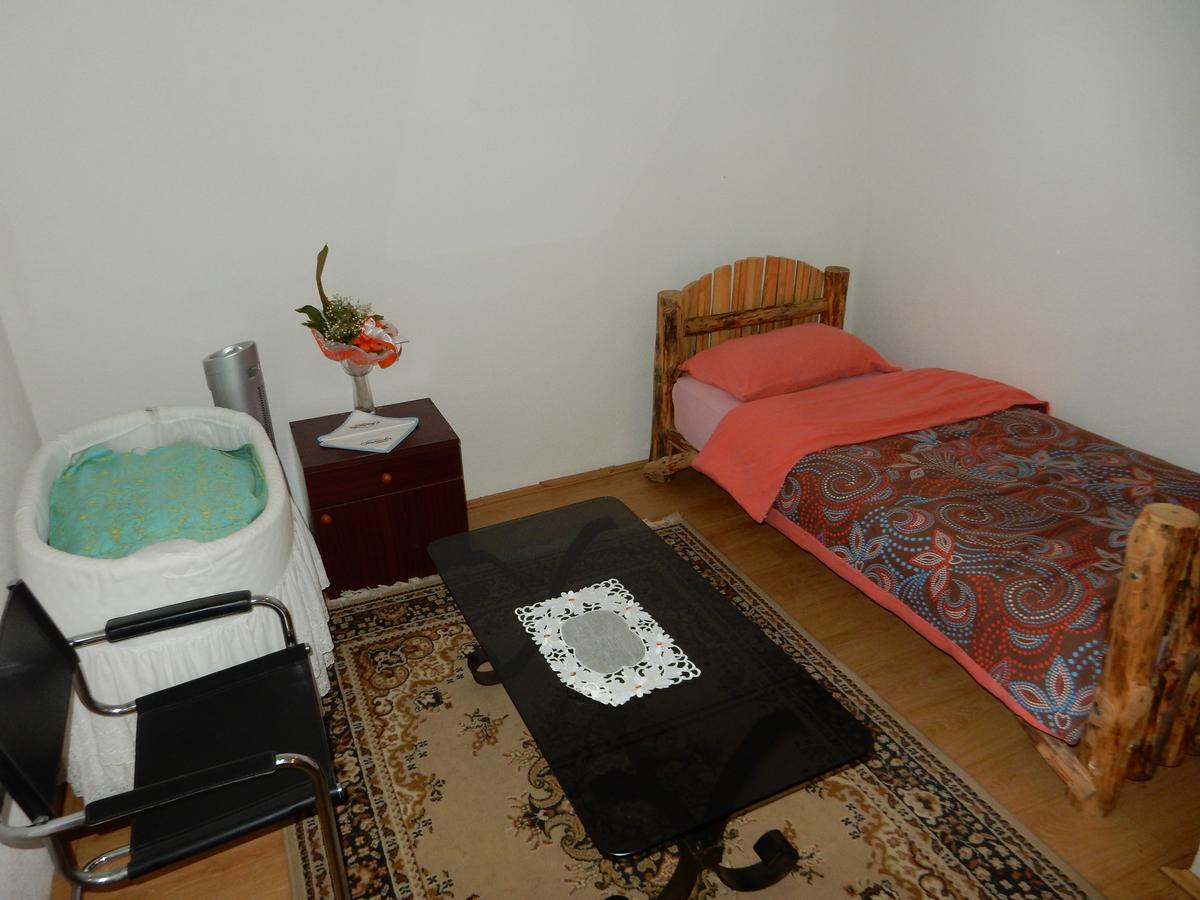 デスポトヴァツ Panorama Lomnica Bed & Breakfast エクステリア 写真