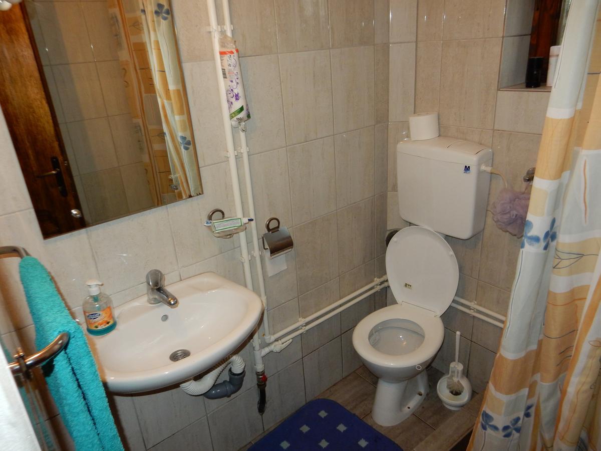 デスポトヴァツ Panorama Lomnica Bed & Breakfast エクステリア 写真