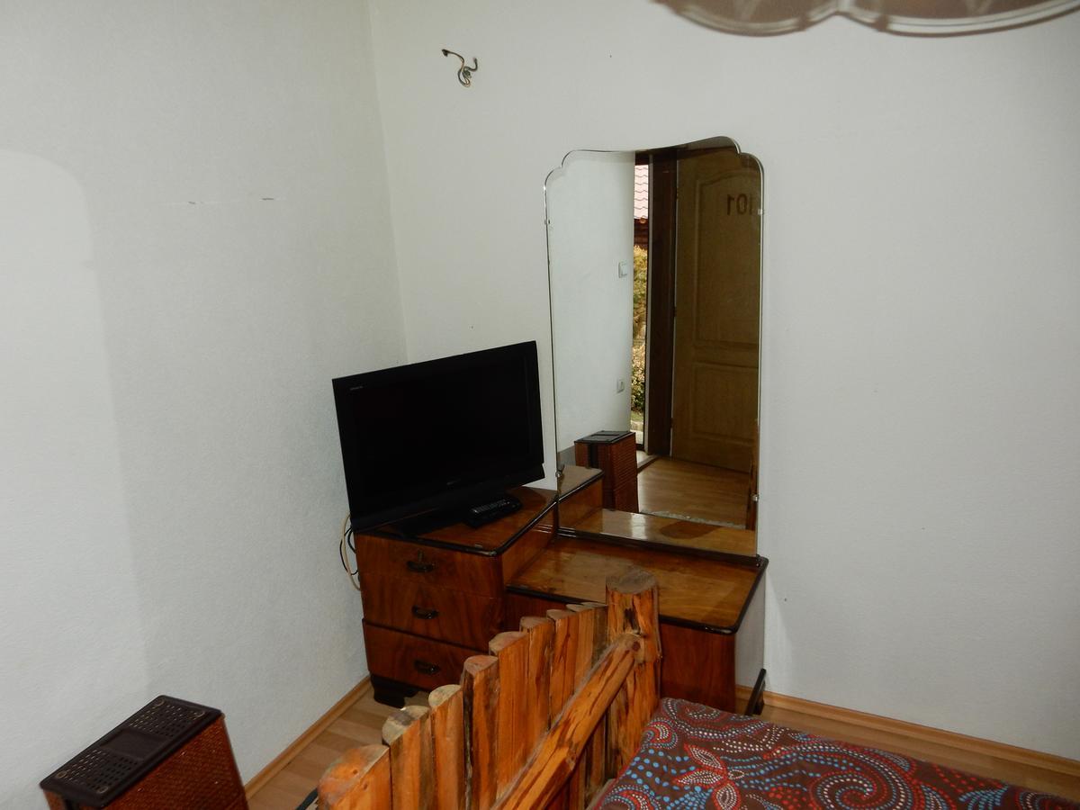 デスポトヴァツ Panorama Lomnica Bed & Breakfast エクステリア 写真