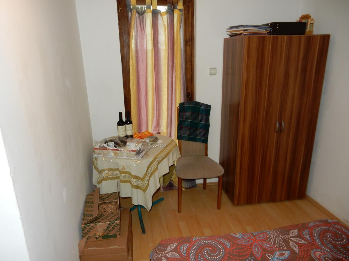 デスポトヴァツ Panorama Lomnica Bed & Breakfast エクステリア 写真